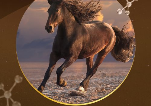 Những công trình nghiên cứu & ứng dụng Đạm thủy phân từ huyết ngựa