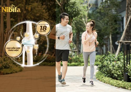 Dược liệu tự nhiên hỗ trợ điều trị bệnh lý cơ xương khớp 