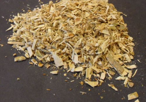 “BÍ QUYẾT” GIẢM ĐAU XƯƠNG KHỚP AN TOÀN VỚI CHIẾT XUẤT SALICIN TỪ VỎ CÂY LIỄU TRẮNG