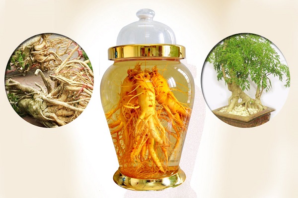 Chua-dau-lung-thoat-vi-dia-dem-bang-cach-nao