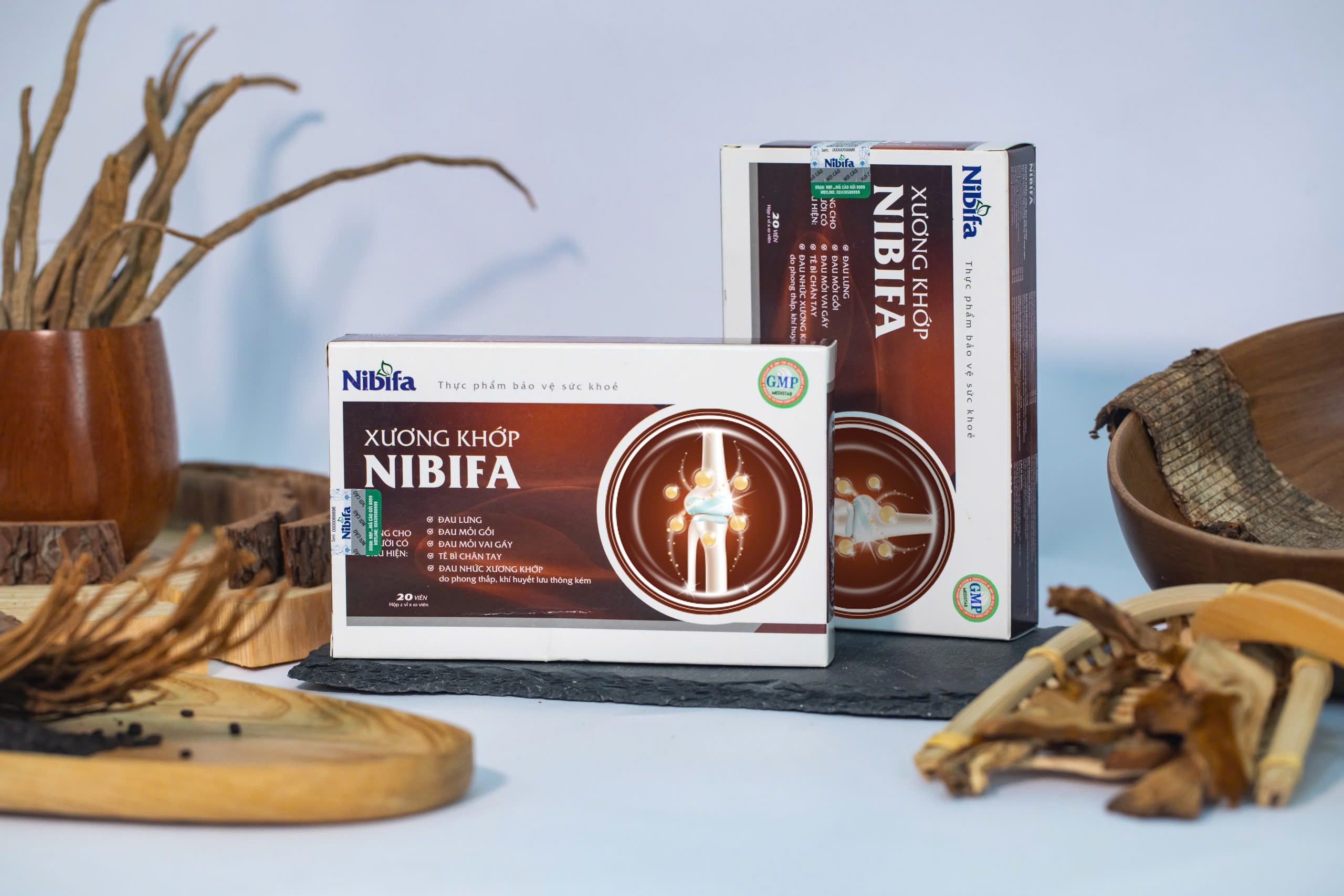 xuong khơp nibifa 1